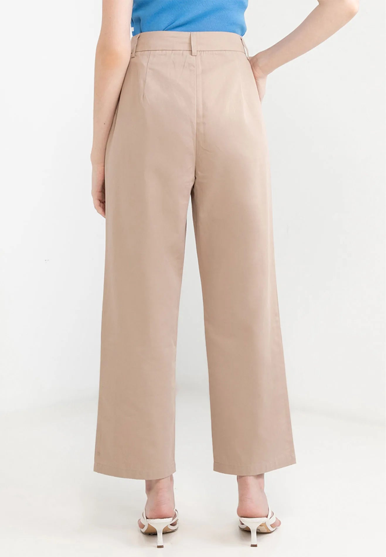 Pleated Wide Leg Pants