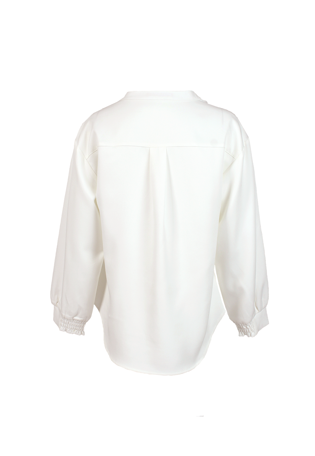 Wing V Collar Long Sleeves Elegant Blouse